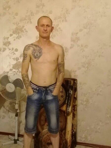 ���� 40643200 ������� ������, 40 ���, ���� ���������� � ���������