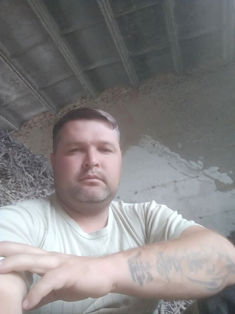  29221600  , 36 ,    