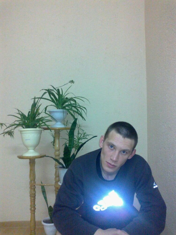  8428180  , 34 ,    
