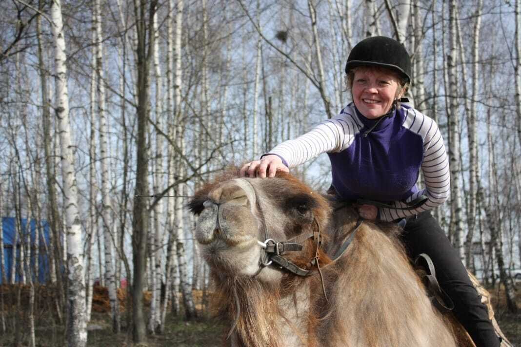 ���������� ������ ��������, ���� ������� �����, 49 ���, ������������ ��� ������, ����� � ���������, ���������