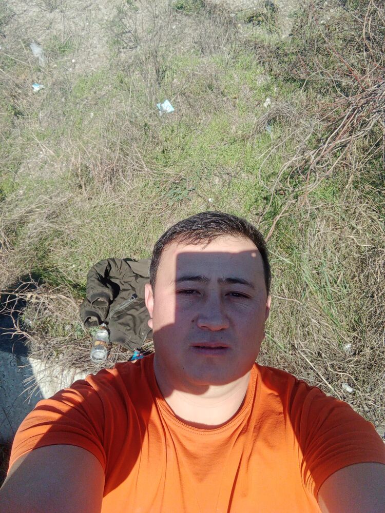  40694210  , 33 ,    