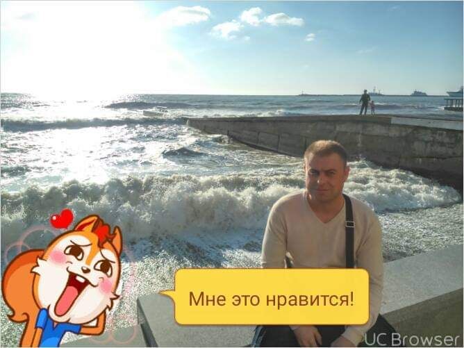 ���� 24841590 ������� ���������, 44 ����, ���� ���������� � ���������