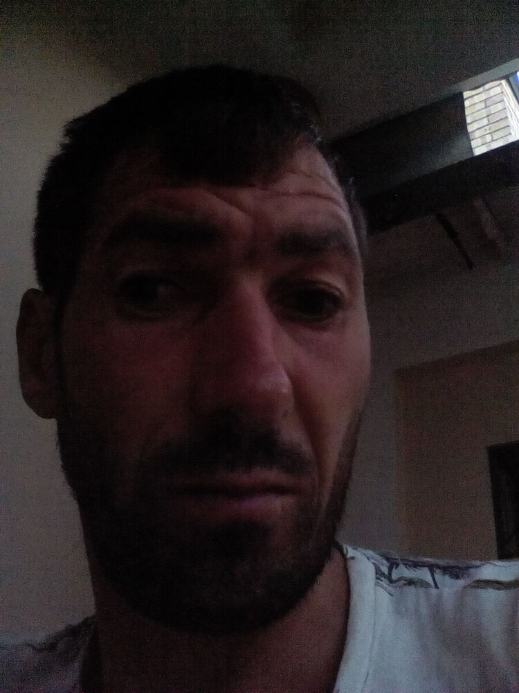  20603160  , 43 ,    