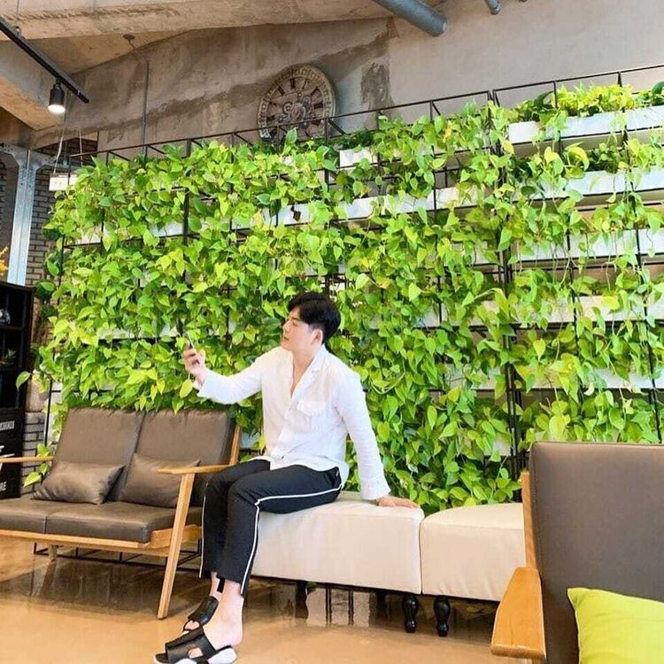 ���������� Cheju, ���� ������� Hoon Bong, 31 ���, ������������ ��� ������, ����� � ���������, c�������� ���������