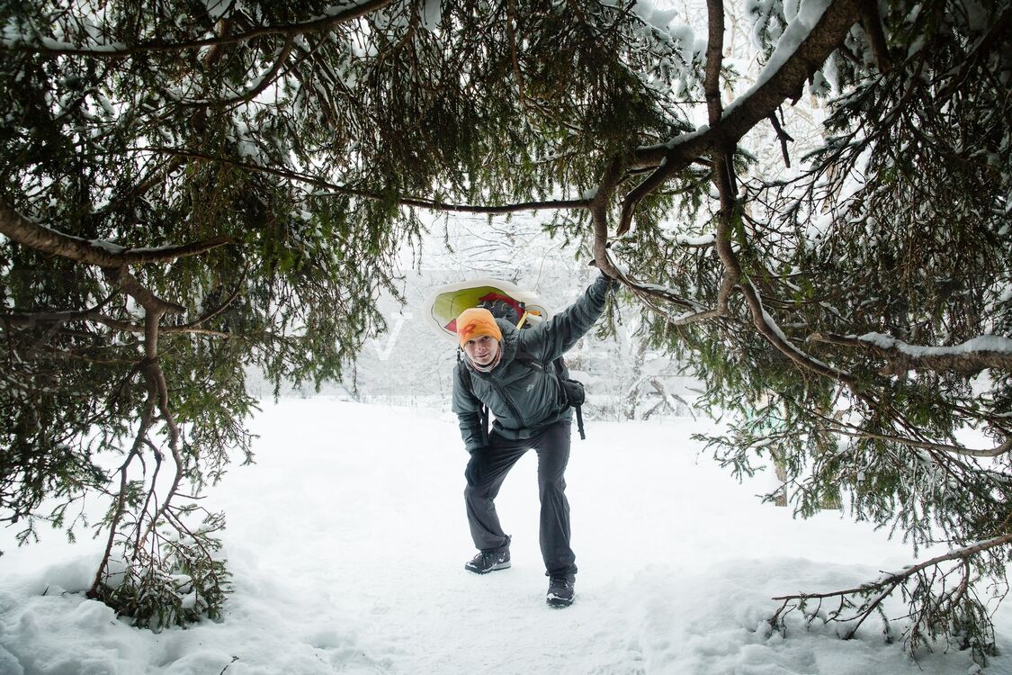 ���������� ���, ���� ������� ������, 31 ���, ������������ ��� ������, ����� � ���������, c�������� ���������, ���������