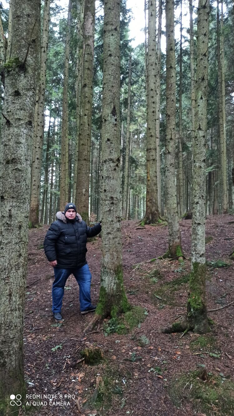 ,   , 36 ,   c 