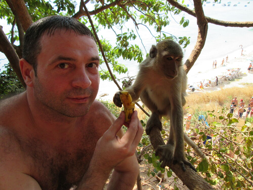 ���������� �����, ���� ������� �������, 45 ���, ������������ ��� ����� � ���������, c�������� ���������