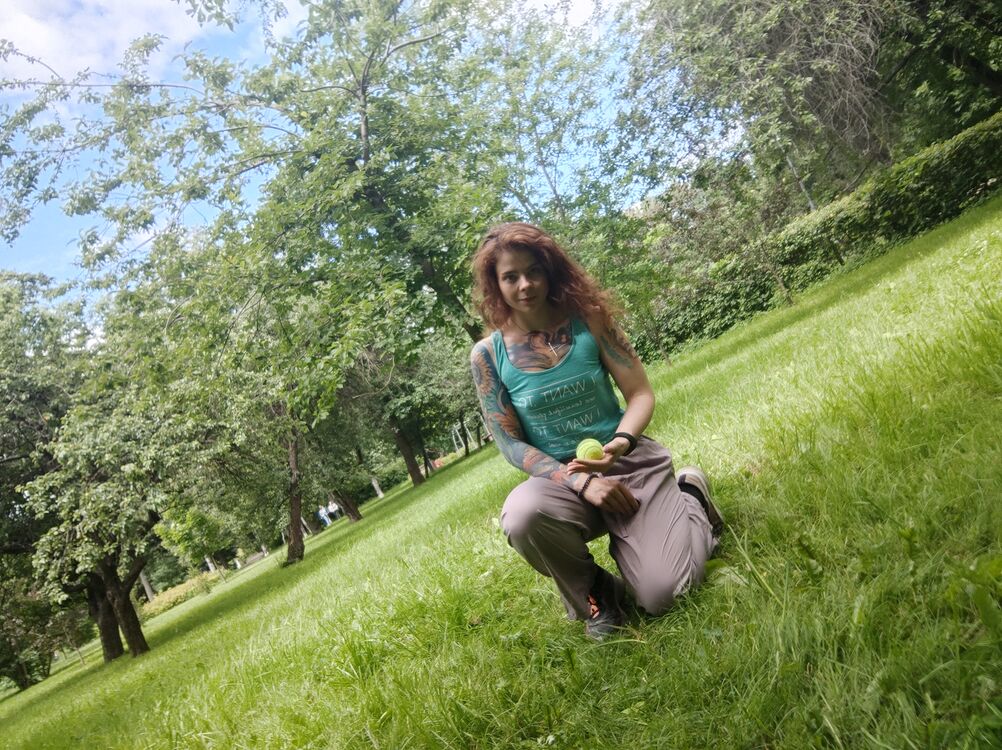  ,   Arenita, 31 ,   