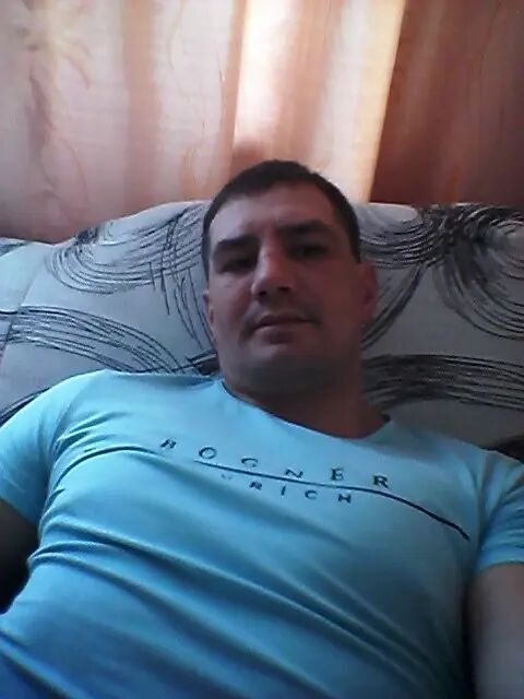  31447270  , 43 ,    