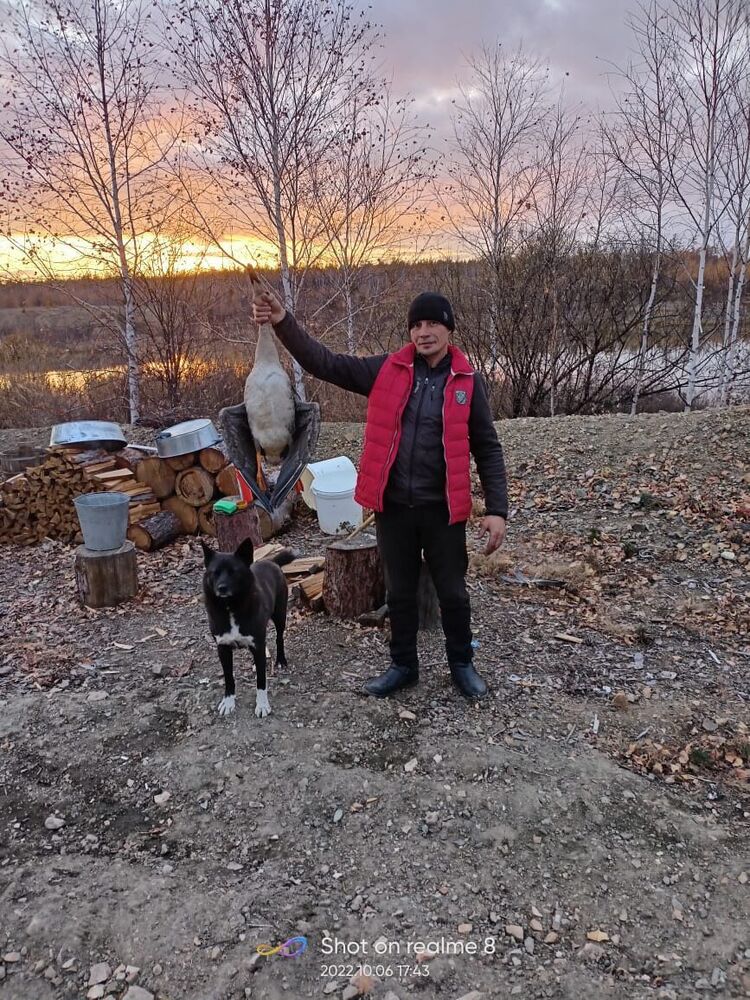 ���������� ������������, ���� ������� ����, 36 ���, ������������ ��� ������, ����� � ���������, c�������� ���������