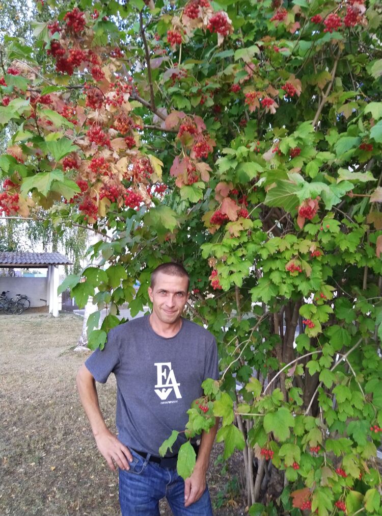 ���� 49625100 ������� ������, 33 ����, ���� ���������� � ��������