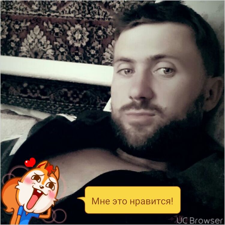  7988330  , 37 ,    