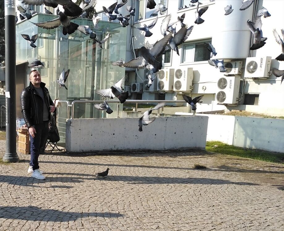 ���������� ����, ���� ������� �����, 32 ����, ������������ ��� ������, ����� � ���������, c�������� ���������