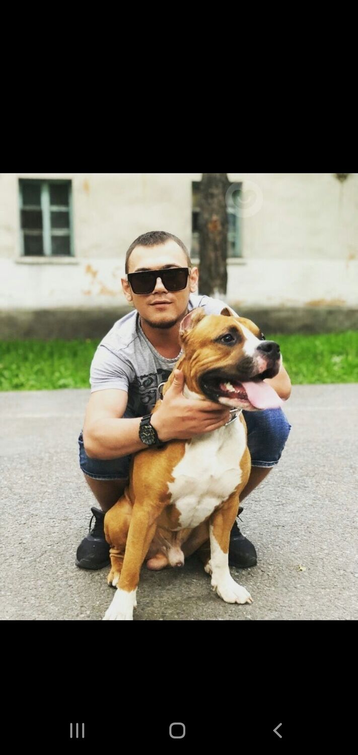 ���� 42457540 ������� Vladimir, 34 ����, ���� ���������� � ������������