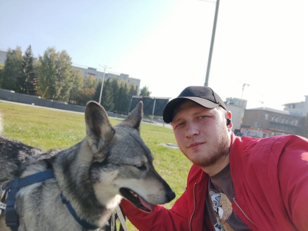 ���������� ������������, ���� ������� ���������, 36 ���, ������������ ��� ������, ����� � ���������, c�������� ���������