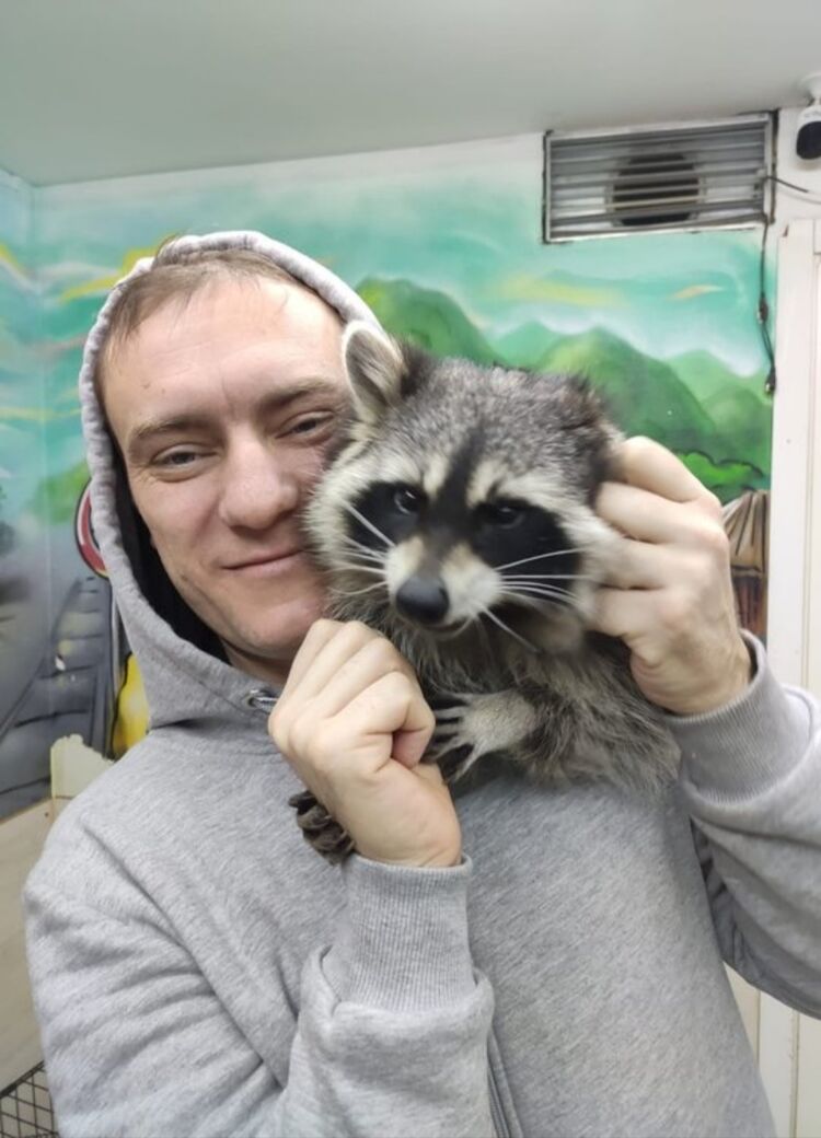 ���������� �����-���������, ���� ������� ������, 42 ����, ������������ ��� ������, ����� � ���������, c�������� ���������