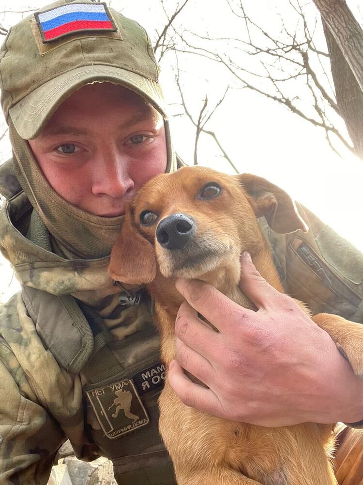 ���� 38119720 ����� ��������, 24 ����, ���� ���������� � ������