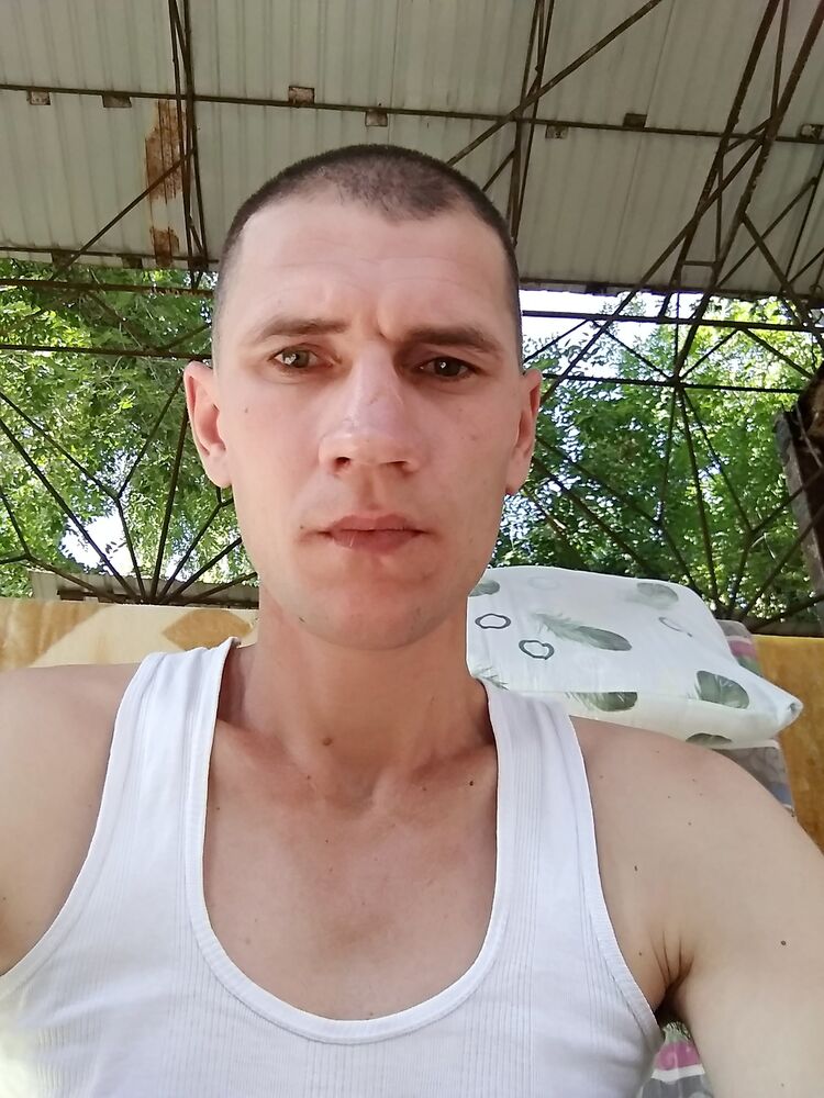  28566670  , 37 ,    