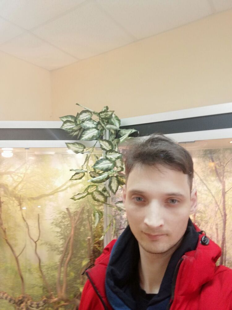 ���� 25904100 ������� �����, 40 ���, ���� ���������� � ��������