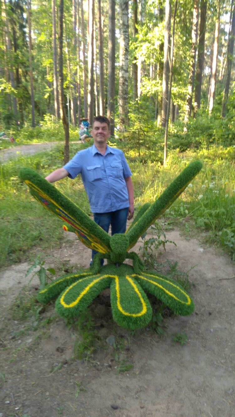  26433410  , 49 ,    -