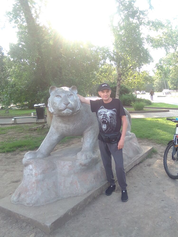 ���������� ���������, ���� ������� ����, 43 ����, ������������ ��� ������, ����� � ���������