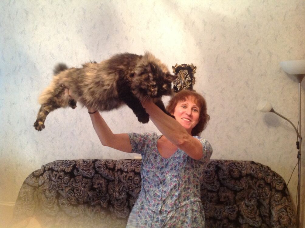  ,   LIA, 63 ,   ,   , c 