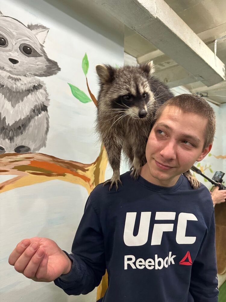 ���������� ������, ���� ����� Roman, 25 ���, ������������ ��� ������, ����� � ���������, c�������� ���������, ���������