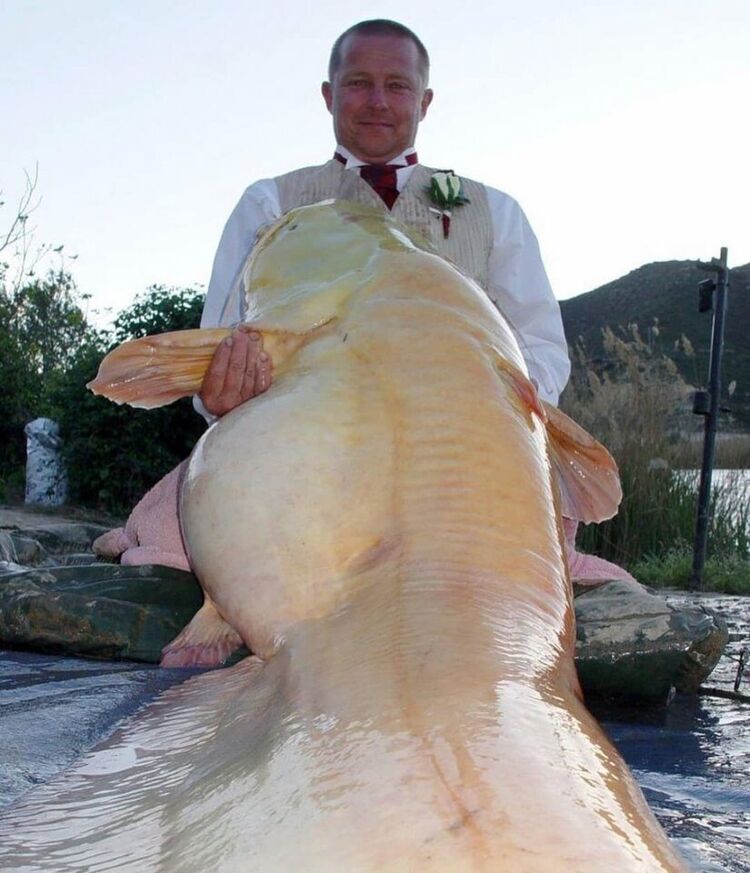 ���� 25523600 ������� ���������, 32 ����, ���� ���������� � ������