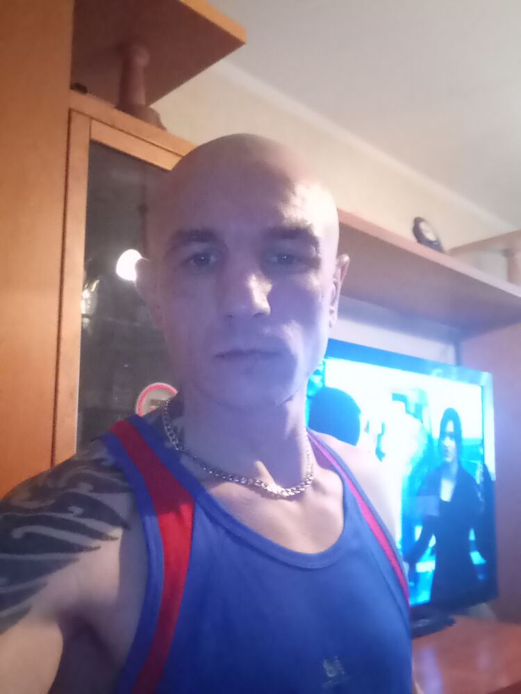  33153270  , 39 ,    