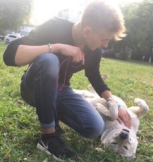 ���� 31379680 ����� ����, 23 ����, ���� ���������� � ������ ���������