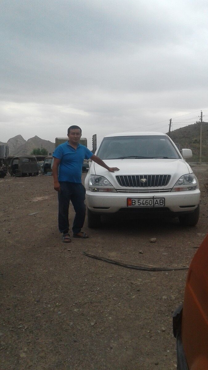  9951460  , 38 ,    