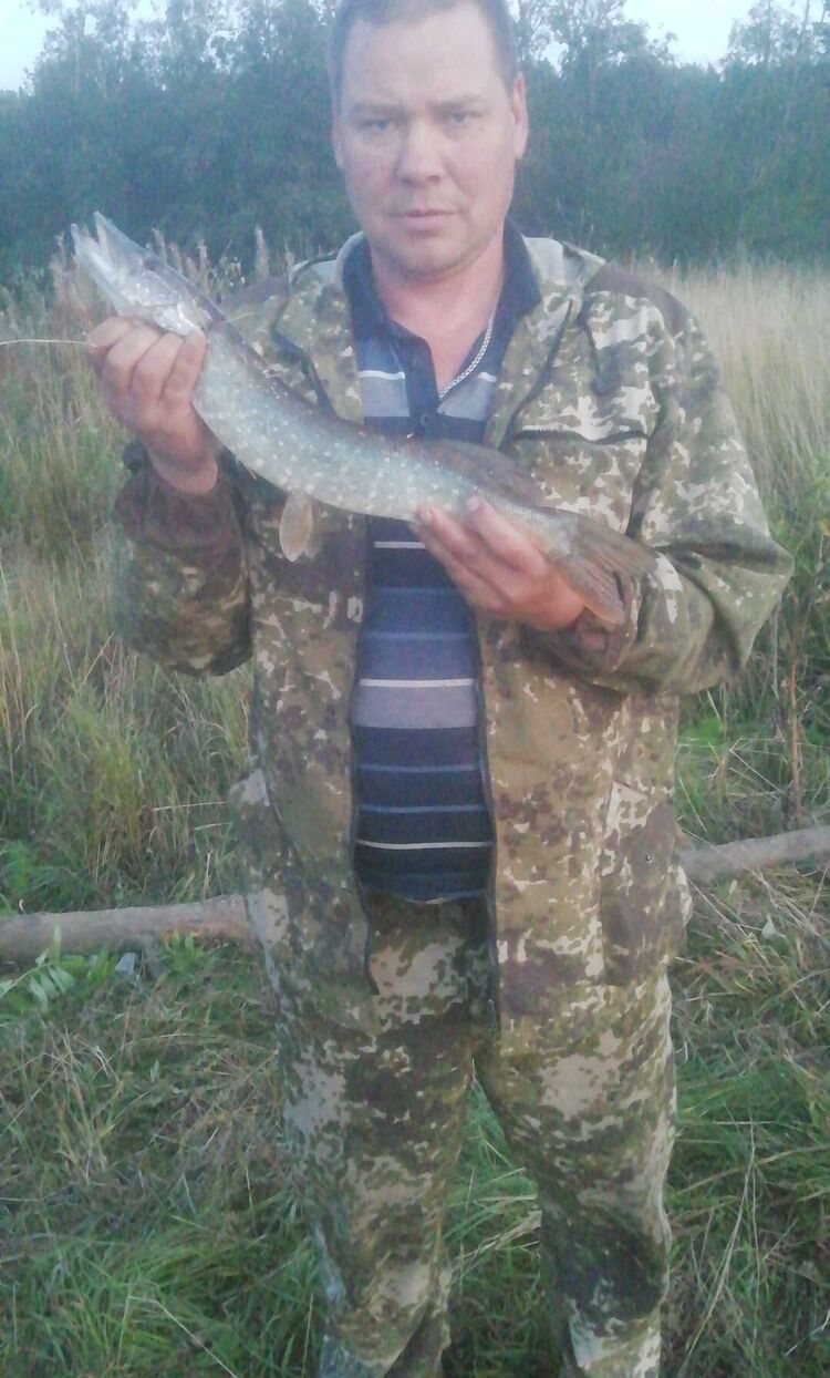 ���� 24589630 ������� �����, 47 ���, ���� ���������� � �������������