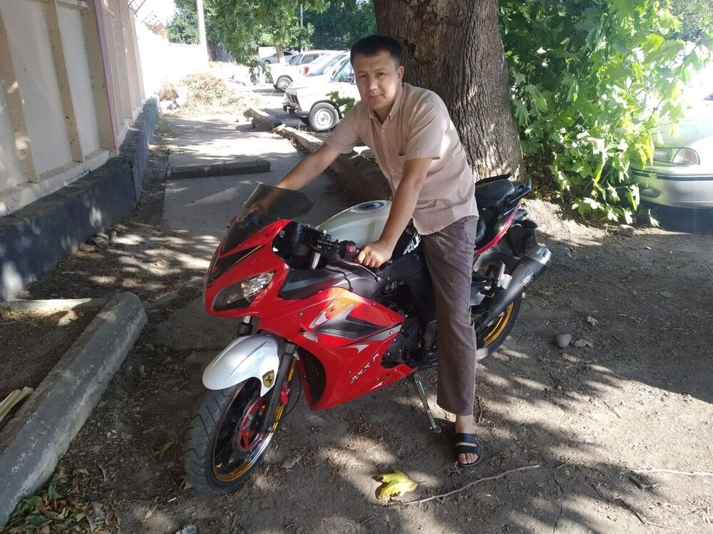  23687440  , 38 ,    