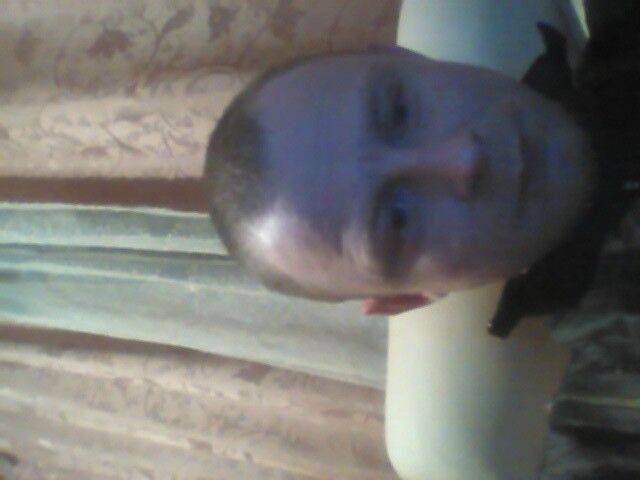  ,   Damir, 41 ,   ,   , c 