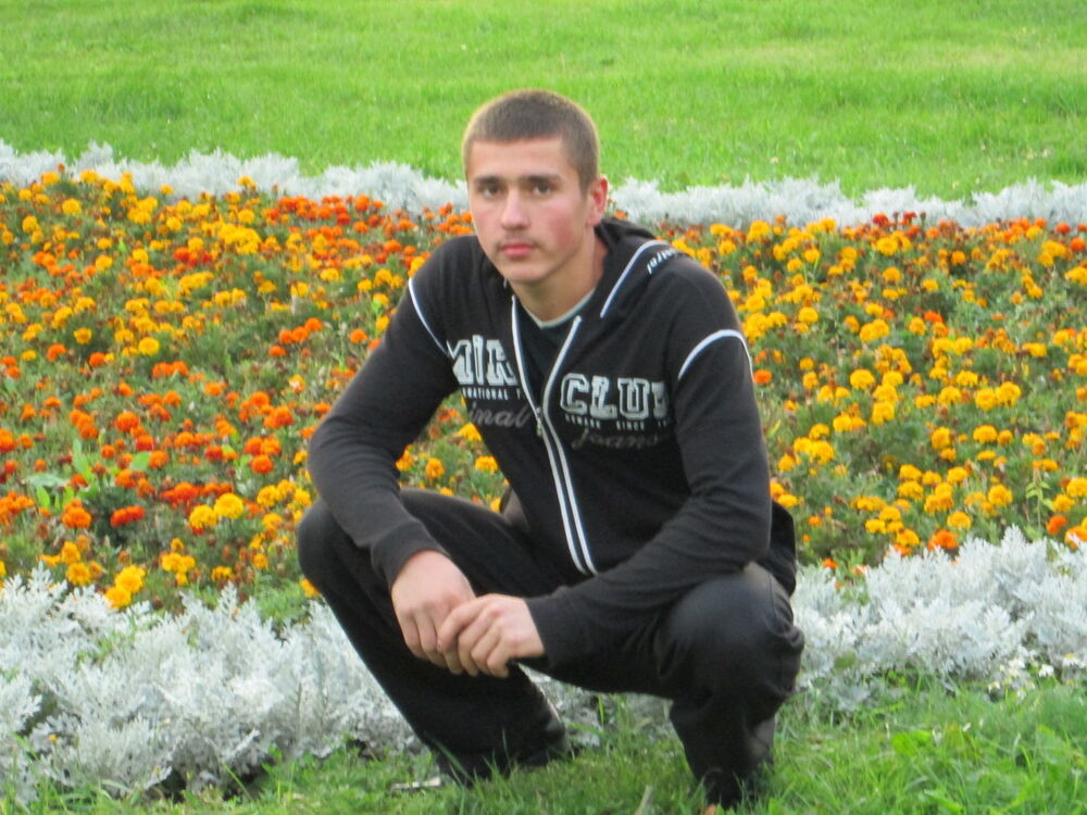  ,   Vasea, 31 ,   ,   , c 