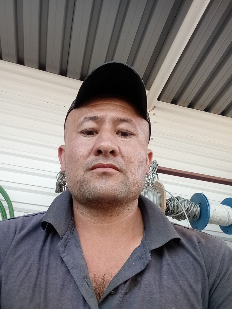  34131260  , 36 ,    
