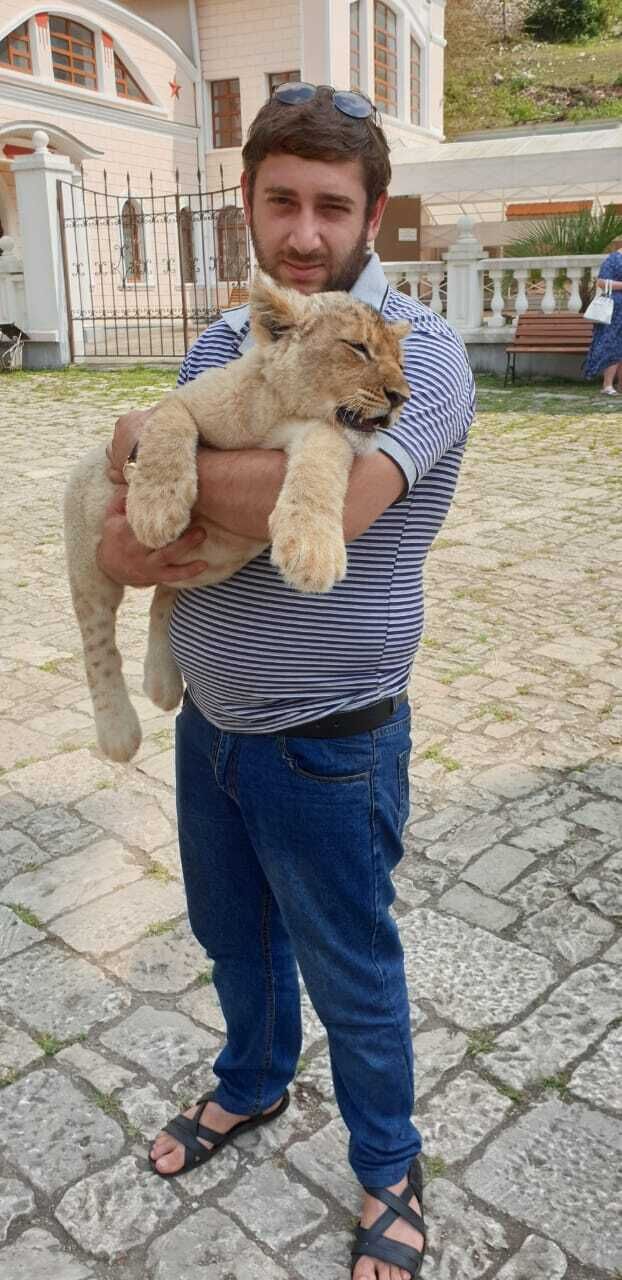 ���������� ����, ���� ������� ������, 35 ���, ������������ ��� ������, ����� � ���������, ���������