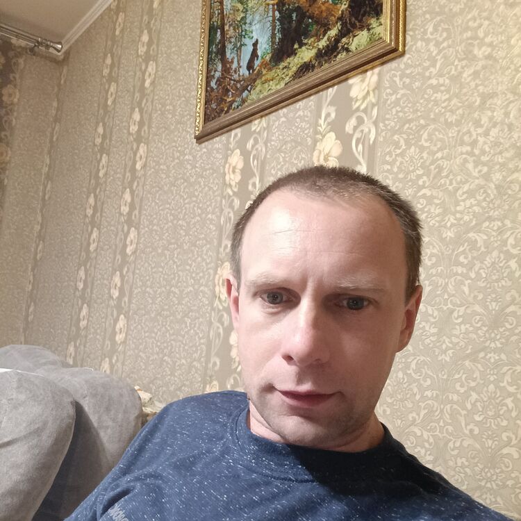  43502360  , 41 ,    