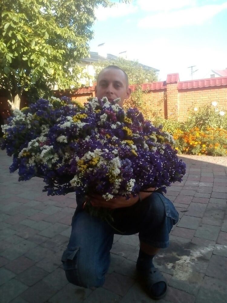 ���������� �����, ���� ������� Andre, 31 ���, ������������ ��� ������, ����� � ���������, c�������� ���������, ���������