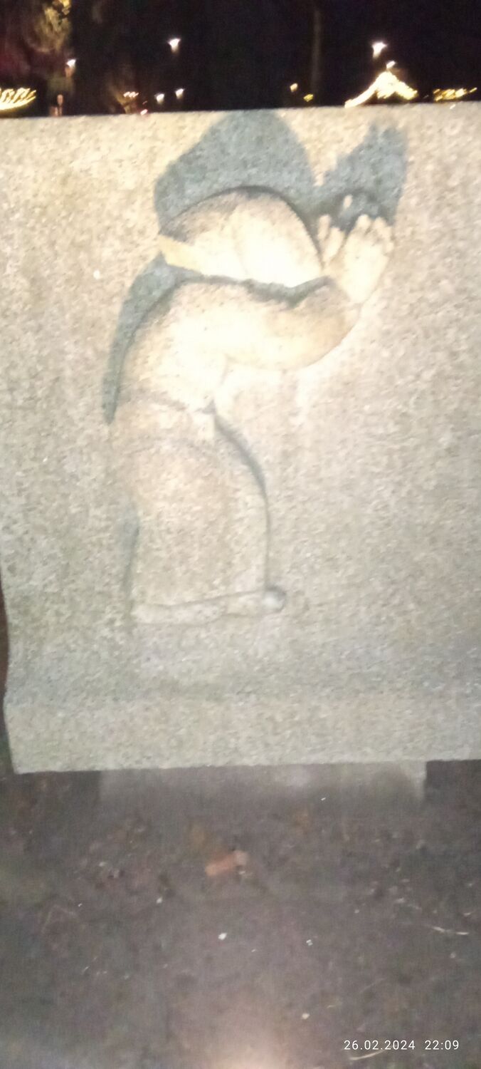 ���������� �����������, ���� ������� ������, 36 ���, ������������ ��� ����� � ���������, c�������� ���������