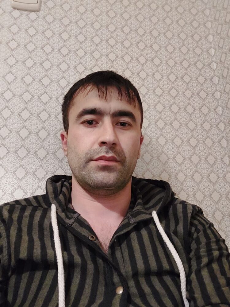  50087380  , 38 ,    