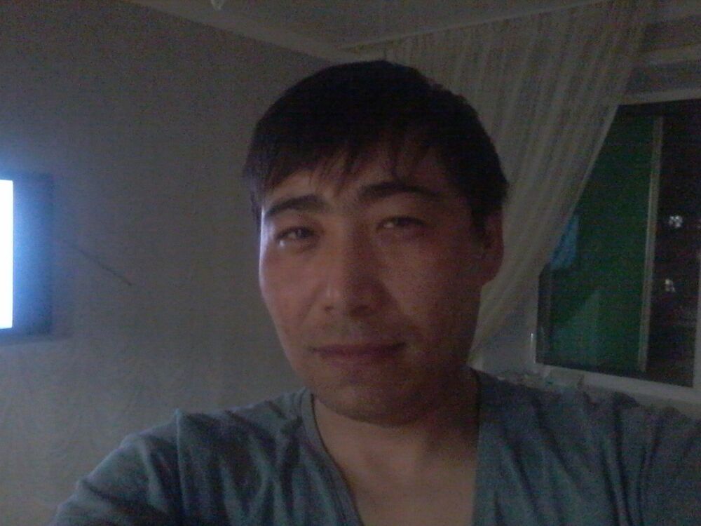  ,   Erga, 31 ,   ,   , c 