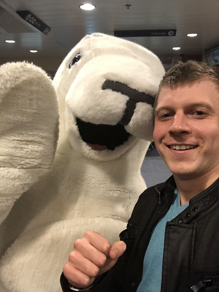 ���� 33369480 ������� �������, 33 ����, ���� ���������� � �����-����������