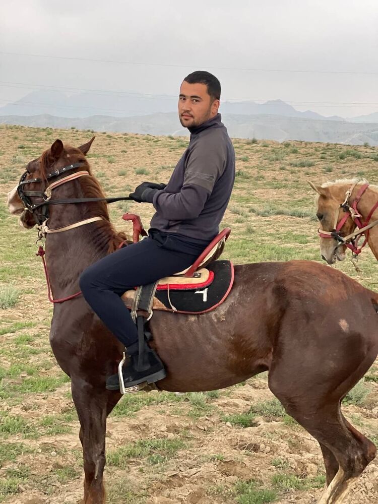 ���� 55002590 ������� �����, 30 ���, ���� ���������� � Jenisov