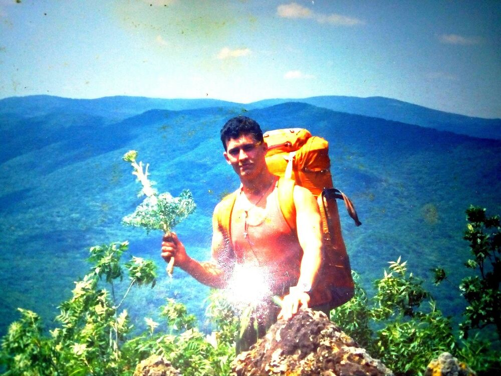  ,   Vov, 53 ,   ,   , c 