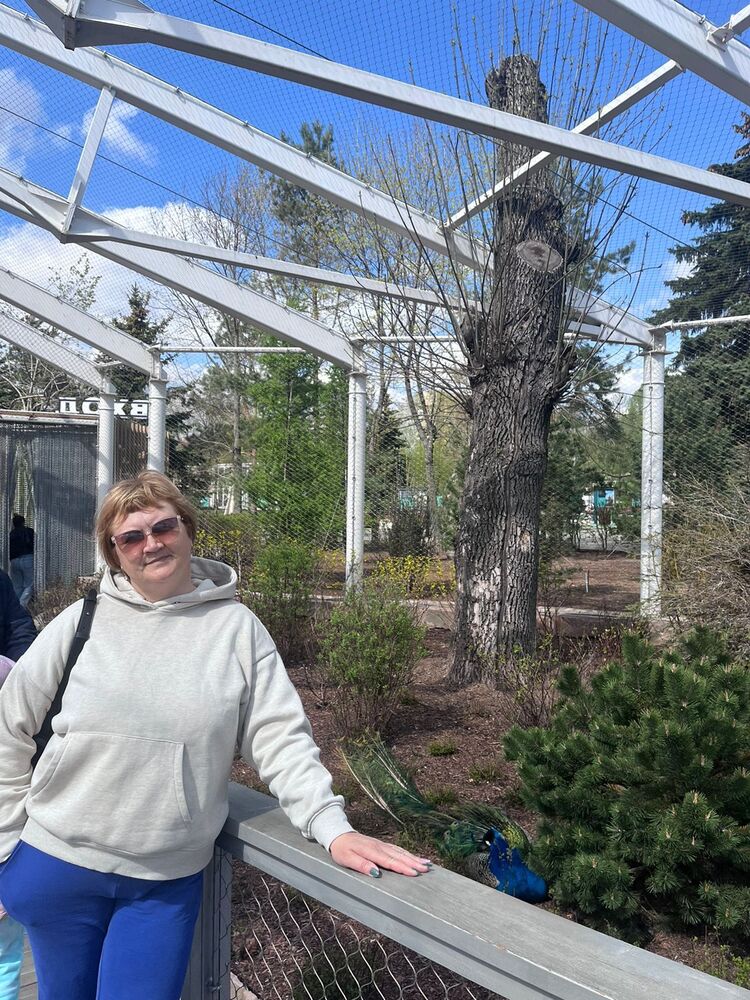  ,   , 52 ,  