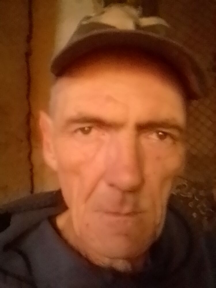  37856040  , 59 ,    