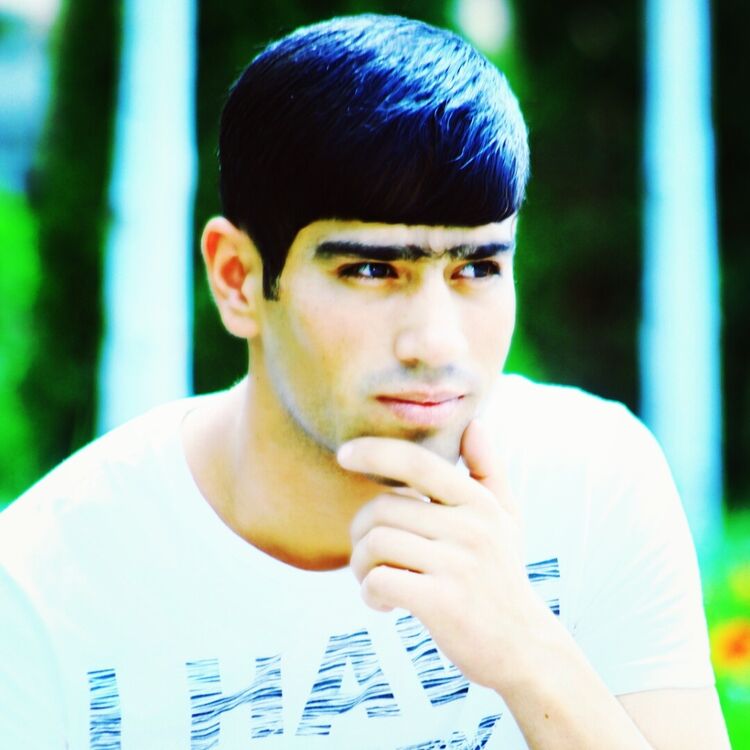  ,   ANSOR, 31 ,   