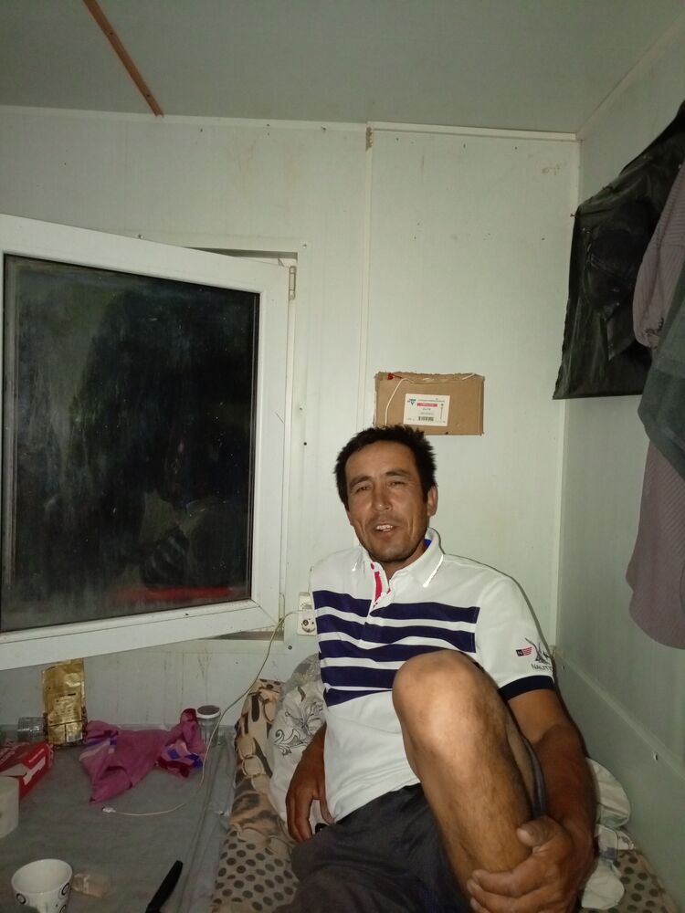  44486420  , 36 ,    