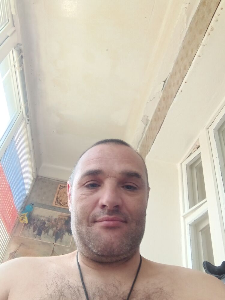  34640310  _, 48 ,    